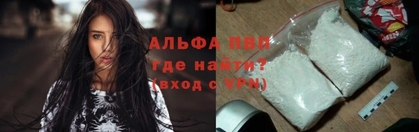 стаф Алексин